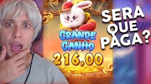 fortune rabbit ganhos